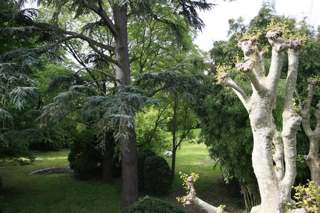 L'Oree Du Chateau Roussillon  Zewnętrze zdjęcie